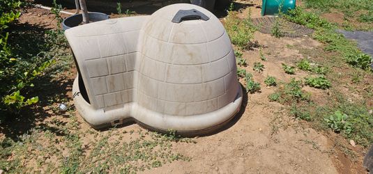 Igloo for dogs.  OBO