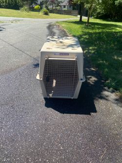 Extra Large Dog Kennel