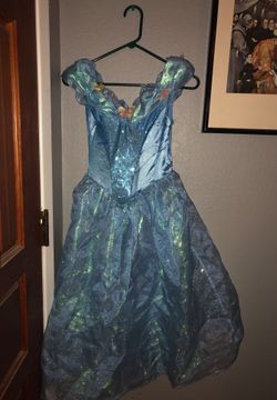Deluxe Cinderella dress