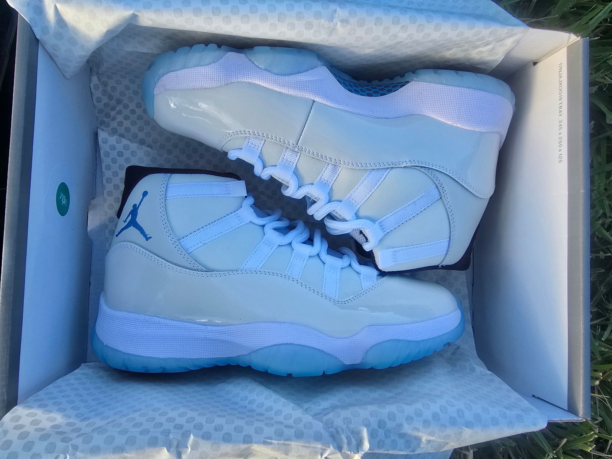 jordan 11