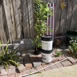 All purpose ,joint compound