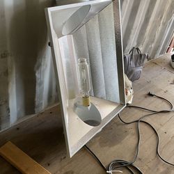 Heat Lamps For Growing Plants