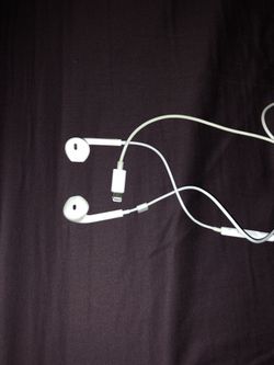 Earphones