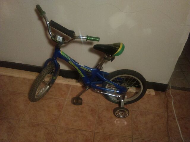 Schwinn gremlin. Boys or girl's. Bike almost. New