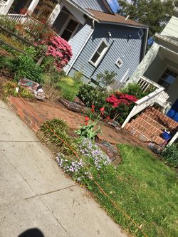 We Offer Yard/Landscape Services