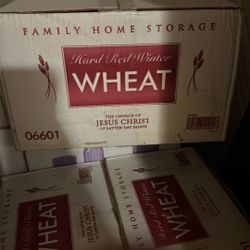Free  30 Year Storage Wheat For Making Flour In SHTF