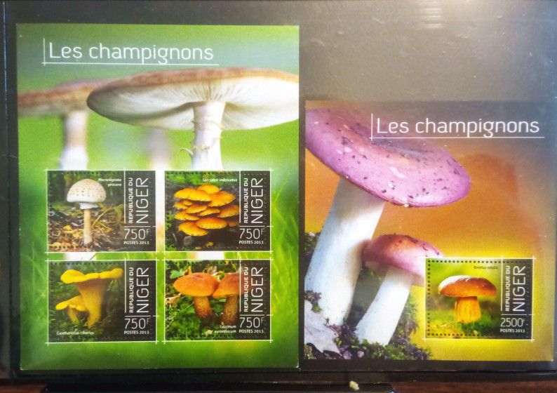 2014 Niger Mushroom Theme Stamp Set of 2 MNH