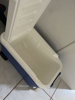 Cooler