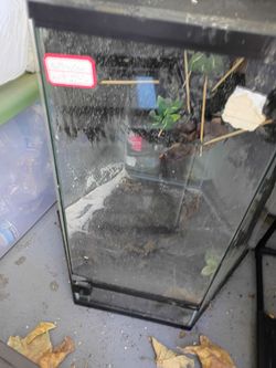 Reptile tanks