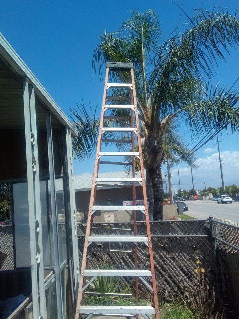 2 Ladders One Is 12 Feet Werner Ladder And The Other One Is 6 Feet