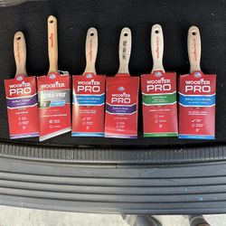 Paint Brushes Woodster