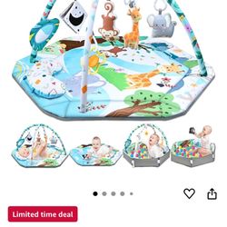 Baby Gym Play Mat