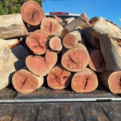 Dry Firewood Logs - Eucalyptus ** Best In The Valley**