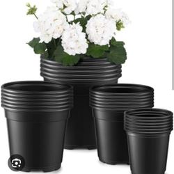 Planting Containers  1, 5, 15 gallons