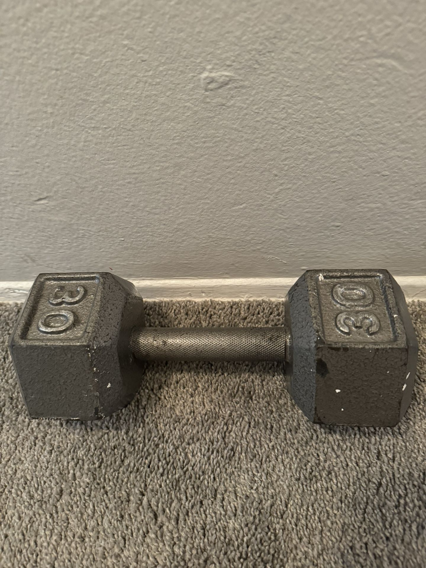 Single 30 Lb Dumbbell