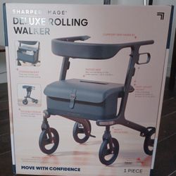 Deluxe Rolling Walker