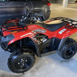 Kawasaki 300 Brute Force