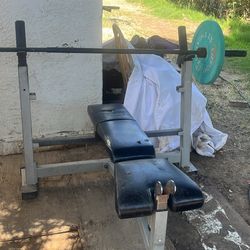 Bench And Weights 