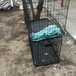 Dog Cage 