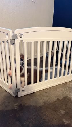 Dog play pen