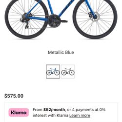 Giant escape disc 3  2025 New