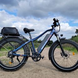 Mountain Electric Bike 1600w