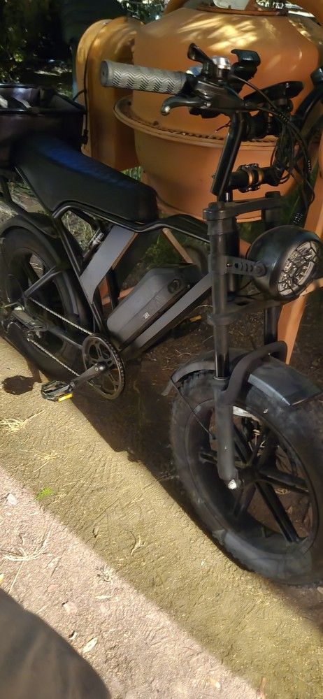 Electric Bike