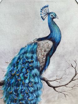 Peacock Wall Art