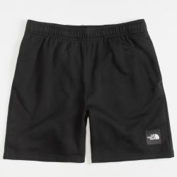 Men's The North Face Never Stop Shorts - Medium