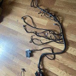 Standalone wire harness