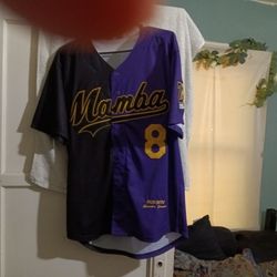 Lebron James Jersey