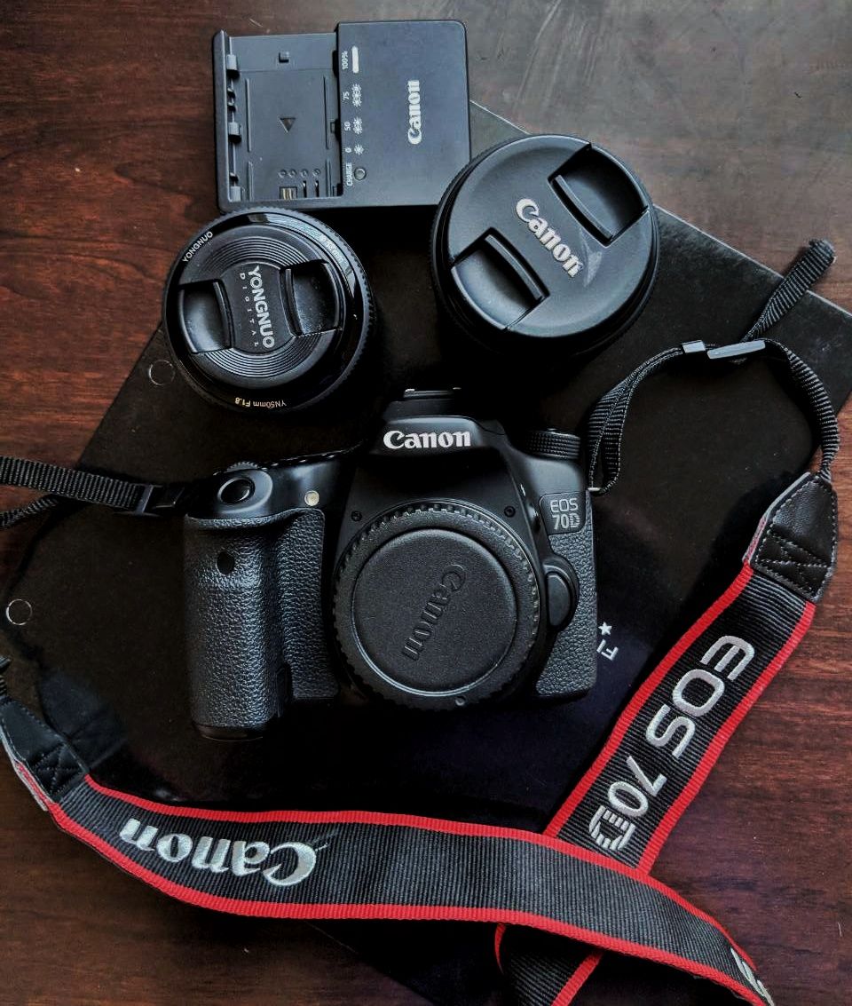 Canon EOS 70D with 2 lenses and bag