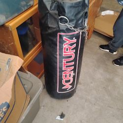 Punching Bag