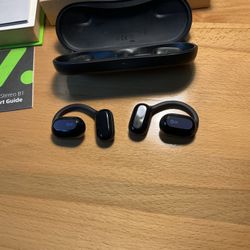 Oladance Stereo Headphones / EarBuds