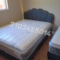 Queen Size Bed And Mattress 