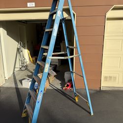 8ft Ladder 