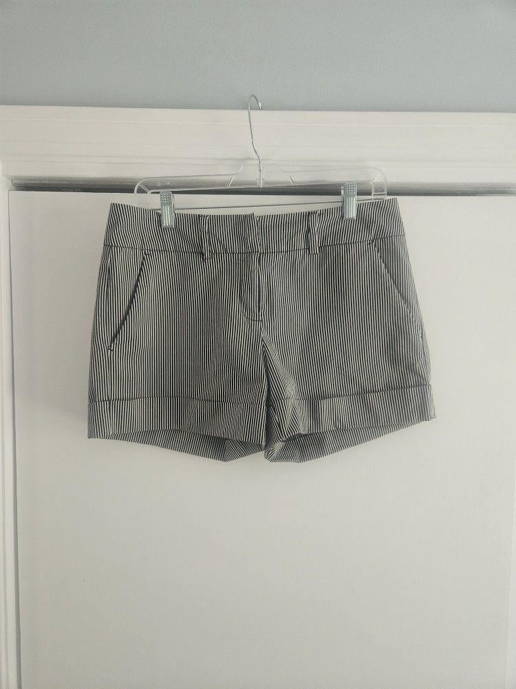 Women's New York & Company Navy 6 Striped Shorts