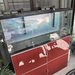 Fish Tank $75 With Filters And Light 