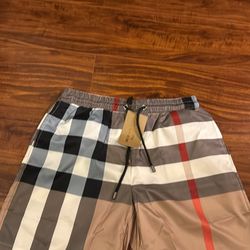 Burberry Swim Shorts