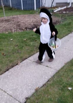 🦈 Shark Costume Boy