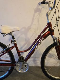 Del Sol Bicycle