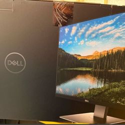 Dell Monitors 