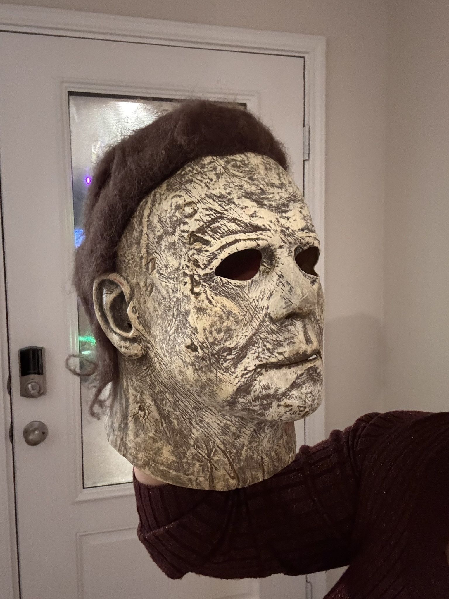 Michael Meyers Costume 