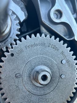 .308 cam