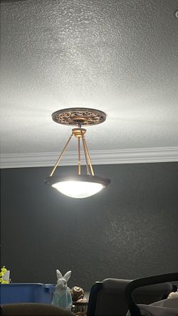 Dining Lamp in Bronze rust w medallion & Goter fir 40