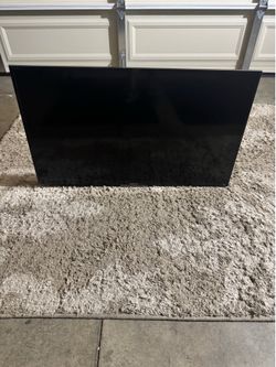 48 inch Sony TV.