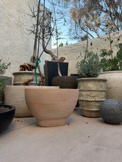 Beautiful Designer Terracotta Pots