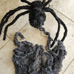 Halloween - Large Spider And Netting
