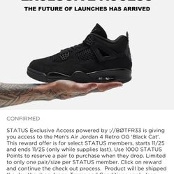 Air Jordan 4 Black Cat