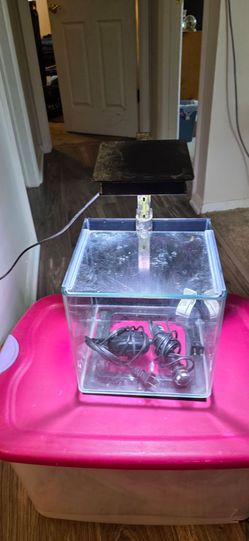 5 gallon nano starter aquarium